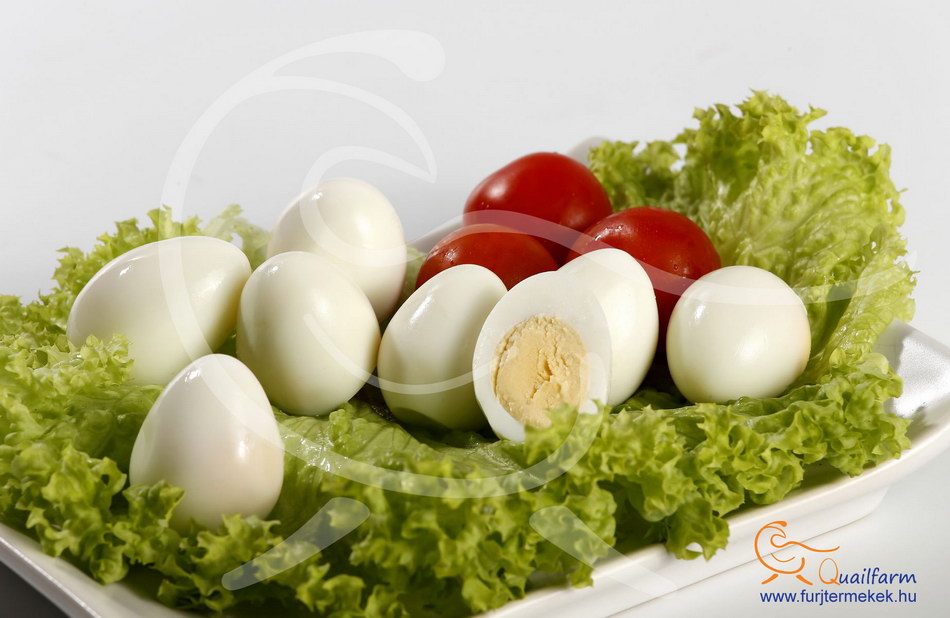 Gyomor tojás kezelése: időtartam és termékválasztási rendszer. A fürj tojás előnyei